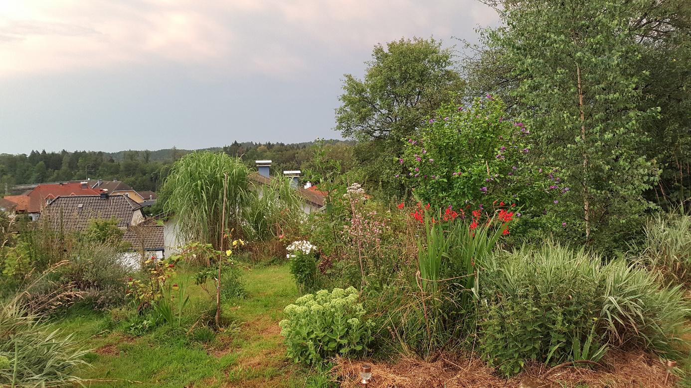 Natur im Garten